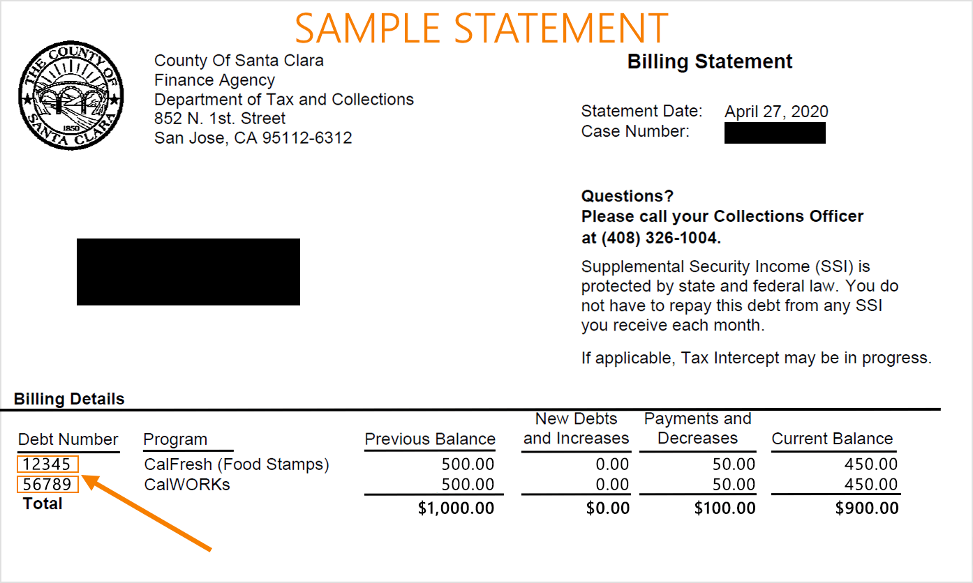 Sample statement with debt number highlighted